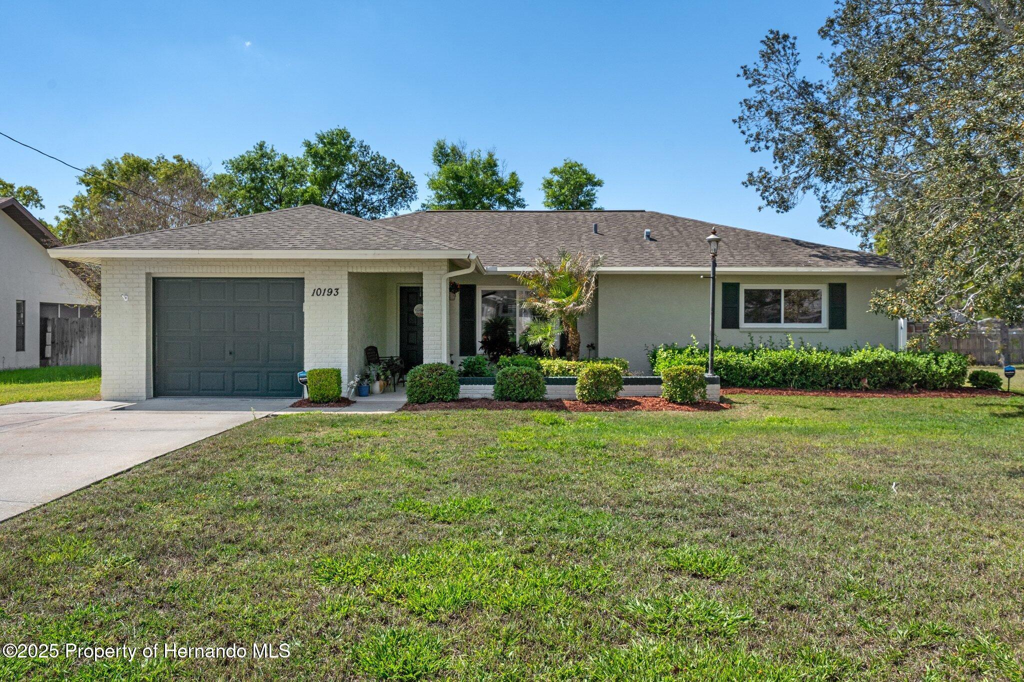 10193 Horizon Drive, Spring Hill, Florida image 1