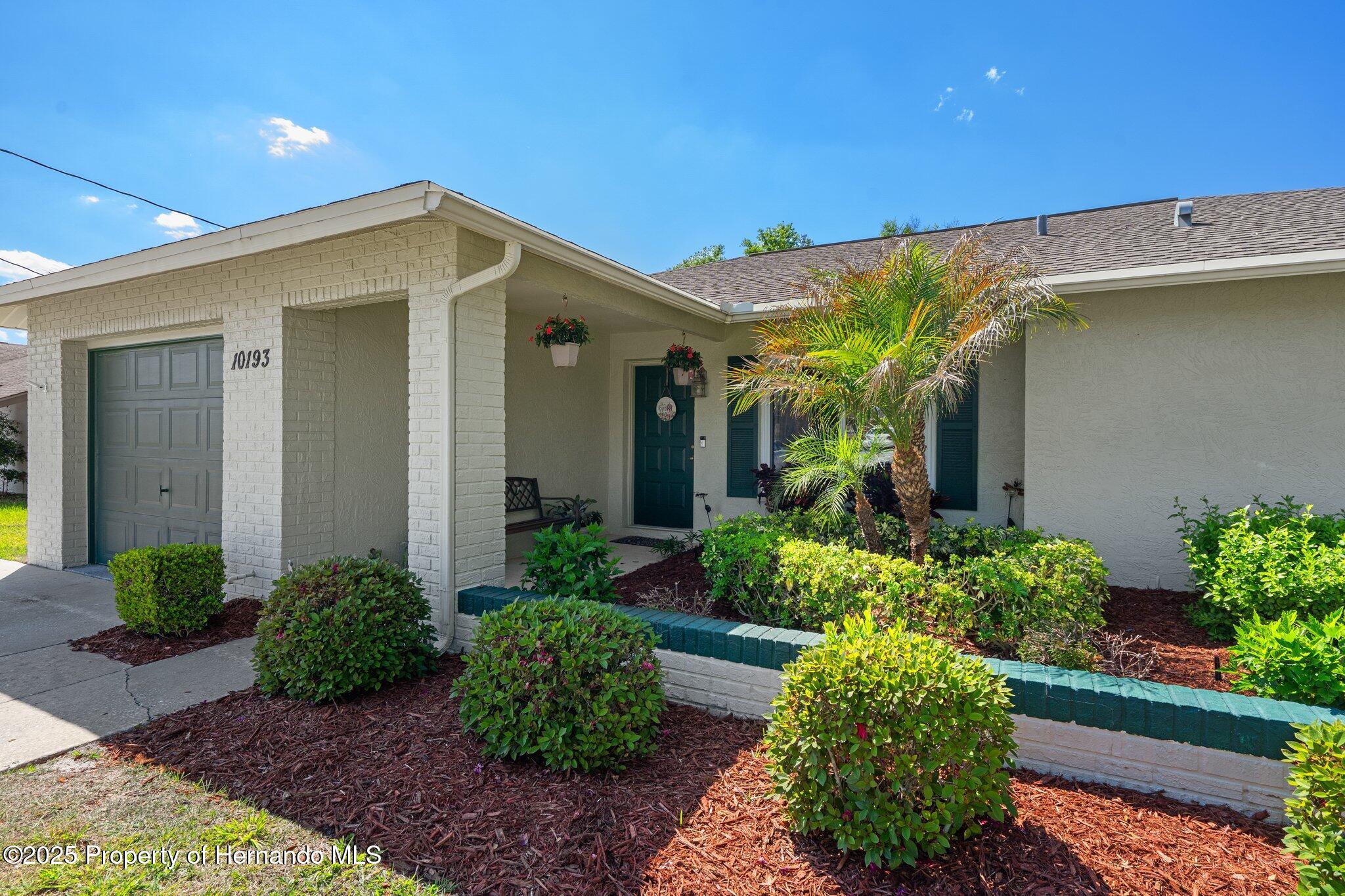 10193 Horizon Drive, Spring Hill, Florida image 3