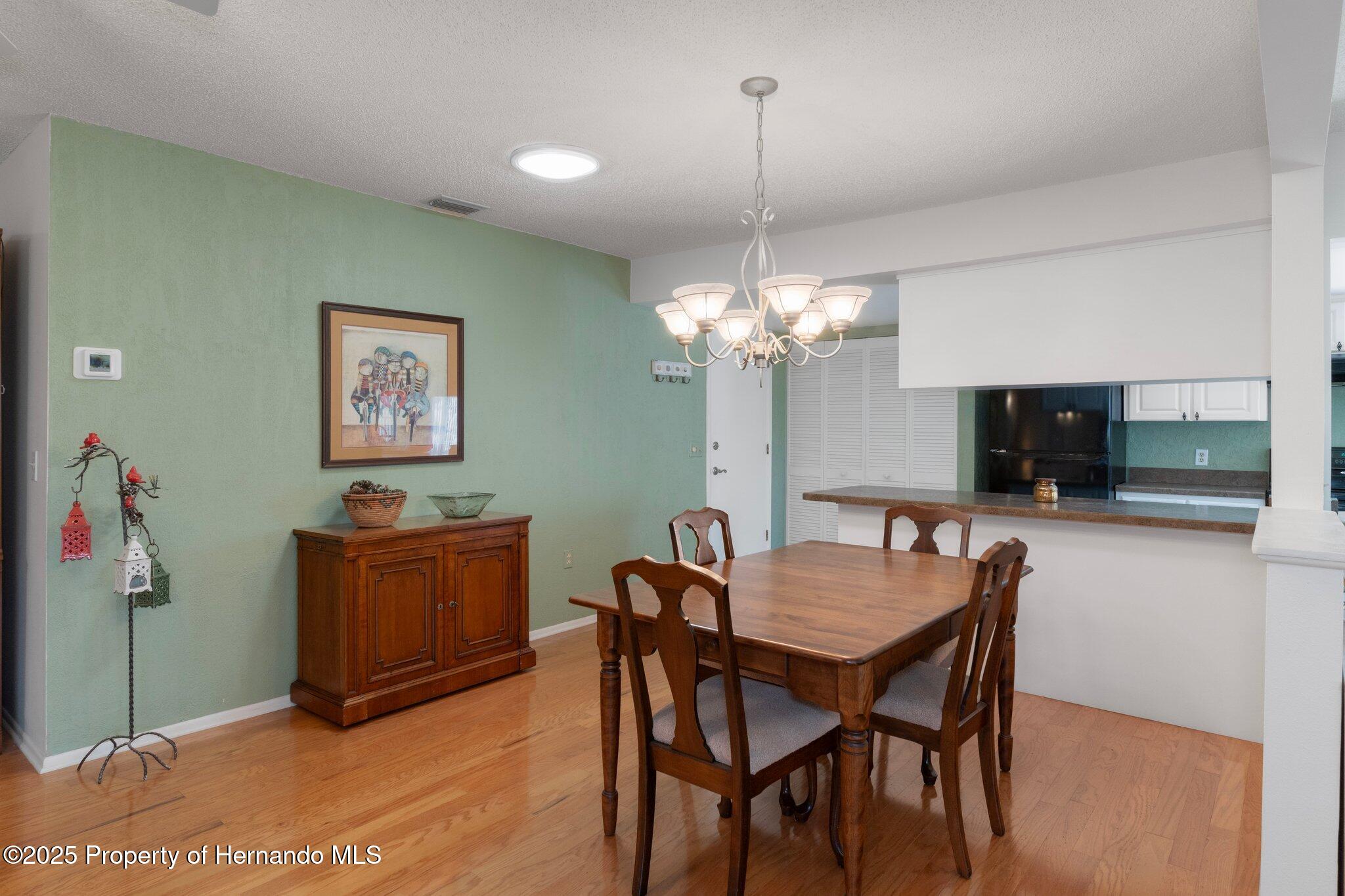 6530 Pine Meadows Drive, Spring Hill, Florida image 13