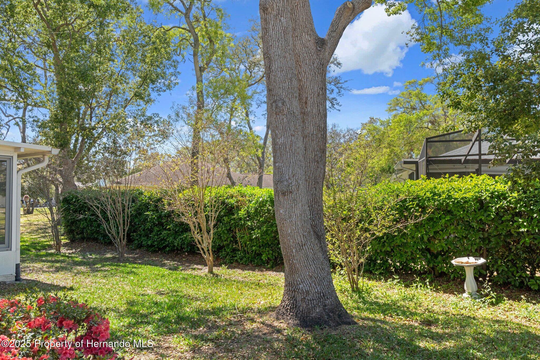 6530 Pine Meadows Drive, Spring Hill, Florida image 37
