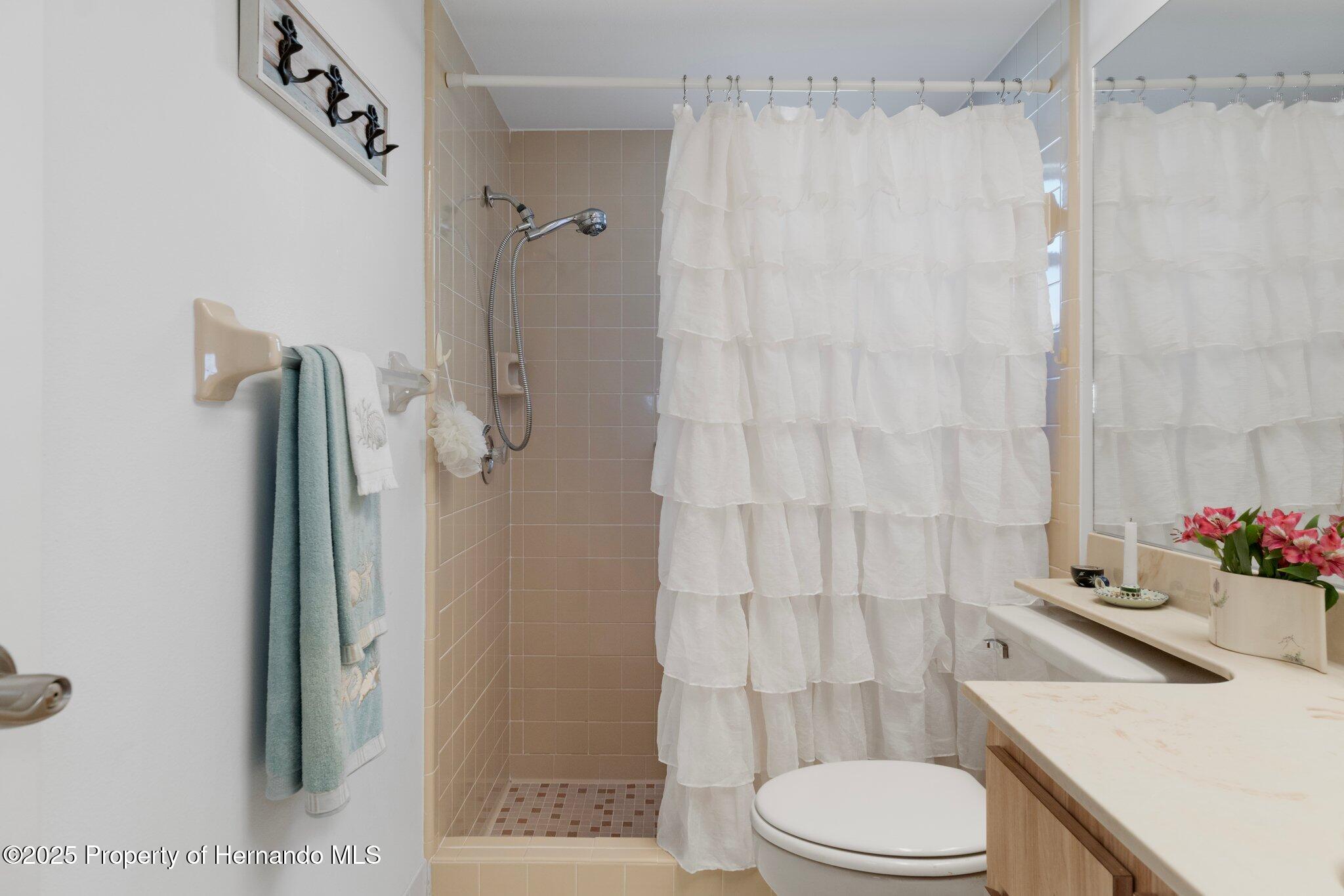 6530 Pine Meadows Drive, Spring Hill, Florida image 30