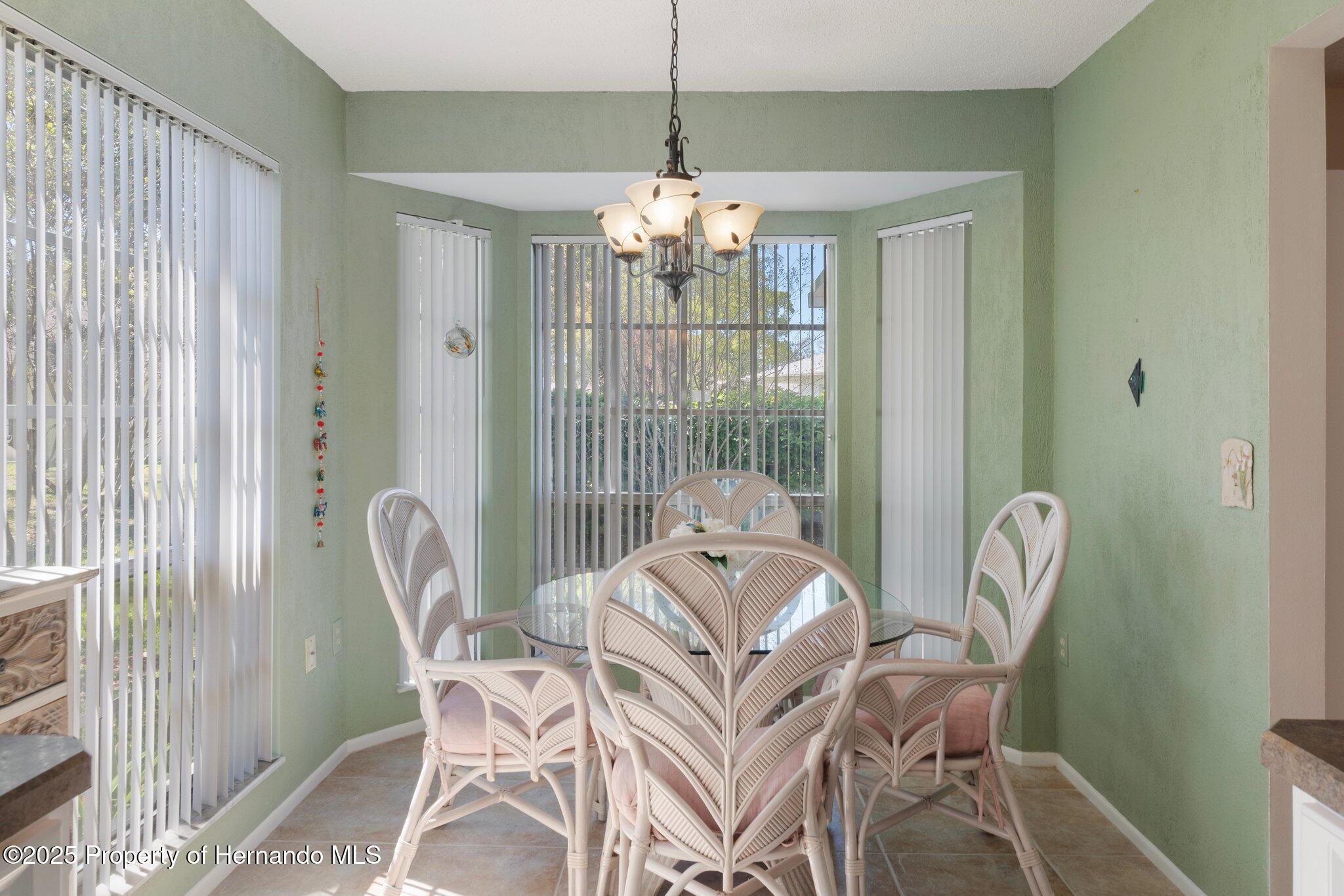 6530 Pine Meadows Drive, Spring Hill, Florida image 19