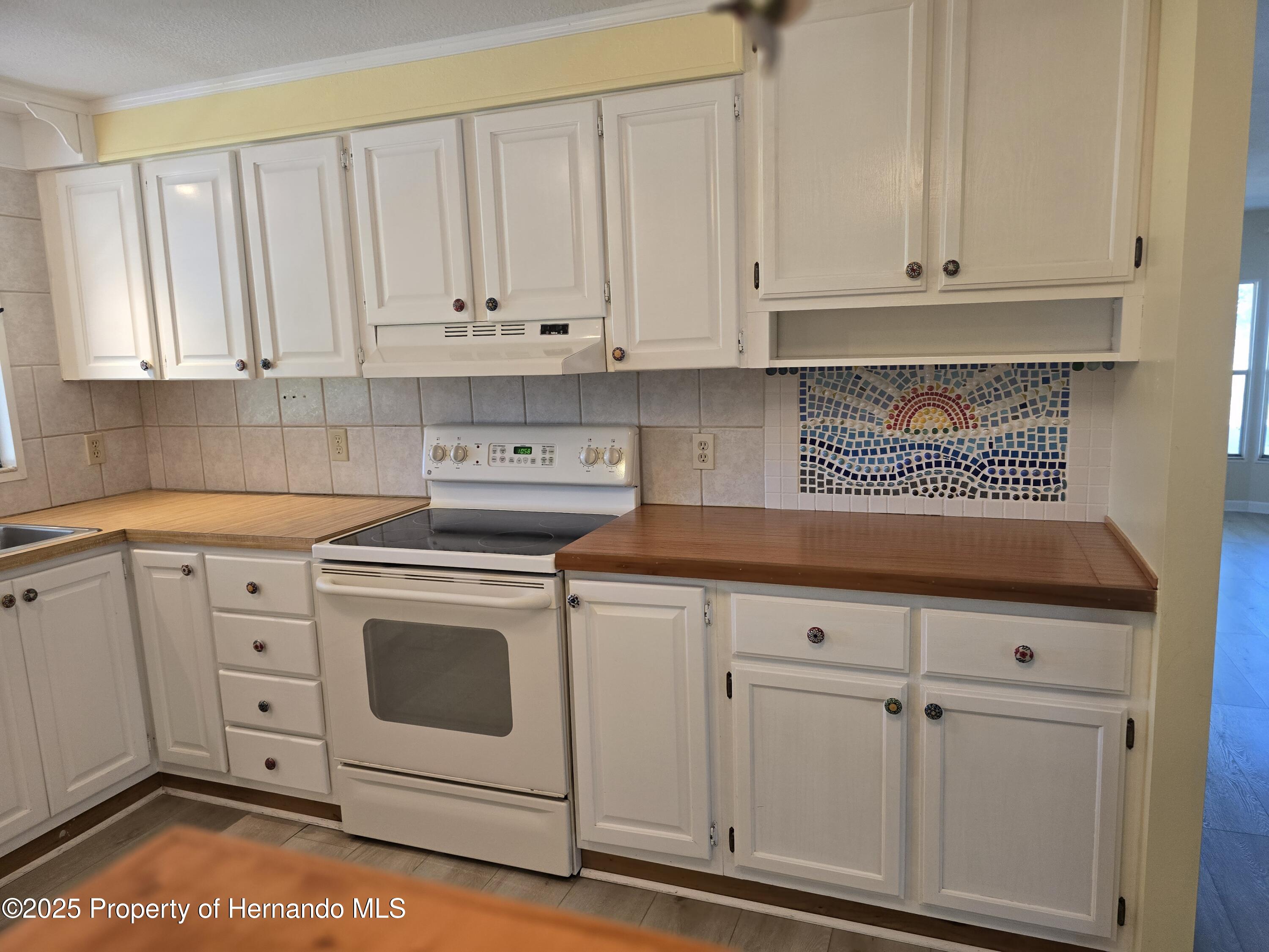 8064 Mission Street, Brooksville, Florida image 4