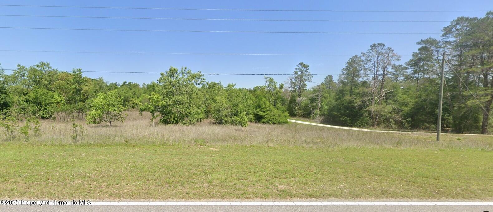 Poe Country Lane, Brooksville, Florida image 3
