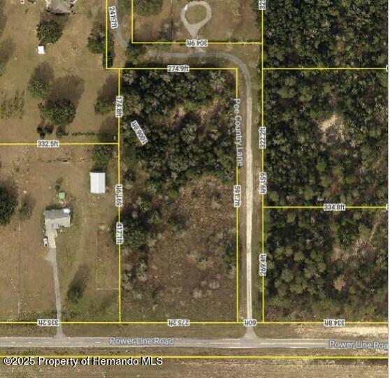 Poe Country Lane, Brooksville, Florida image 1