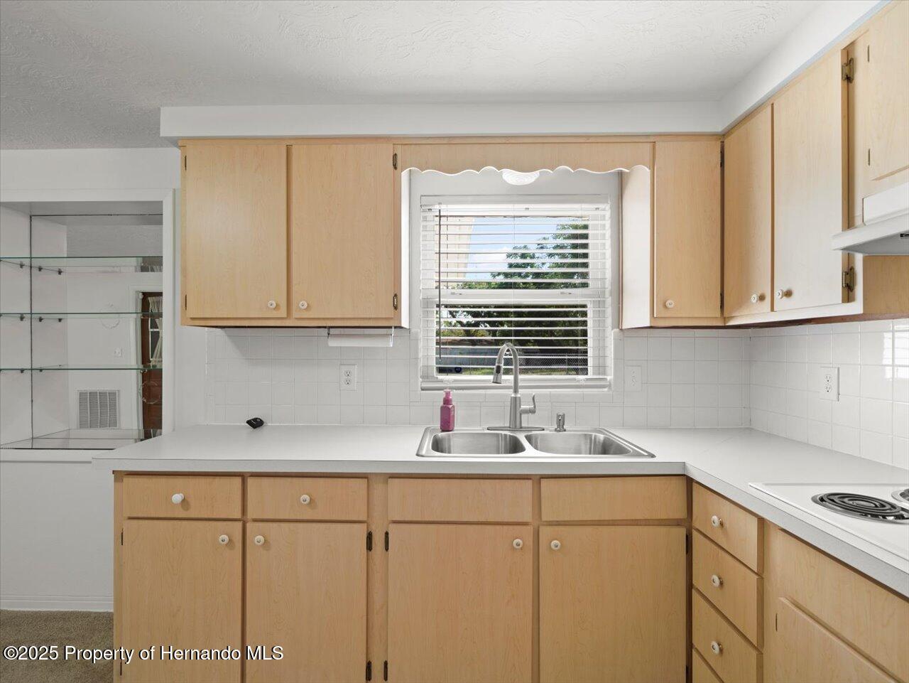 7346 Hiawatha Parkway, Spring Hill, Florida image 28