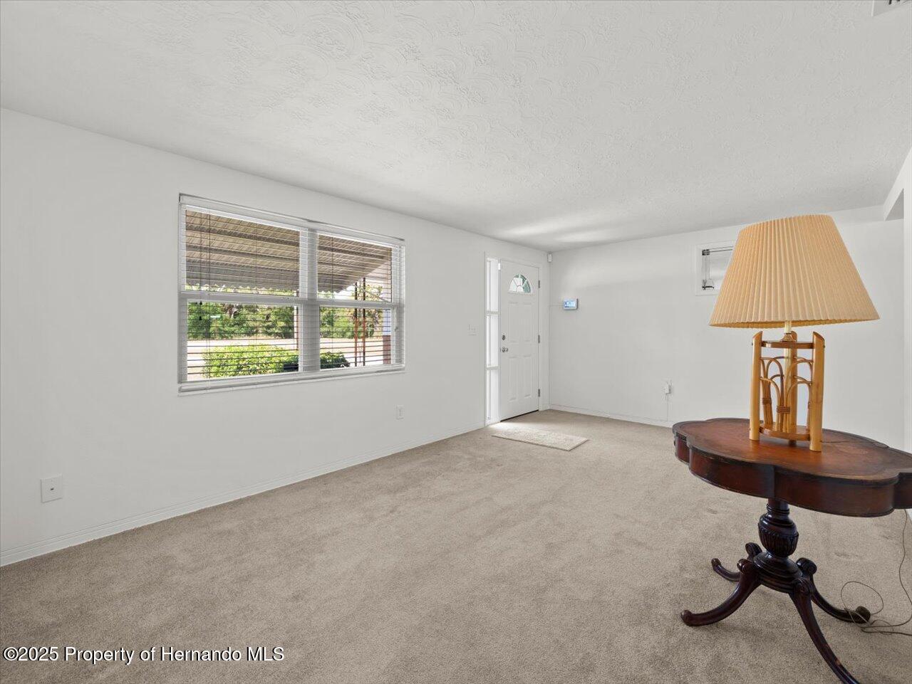 7346 Hiawatha Parkway, Spring Hill, Florida image 11