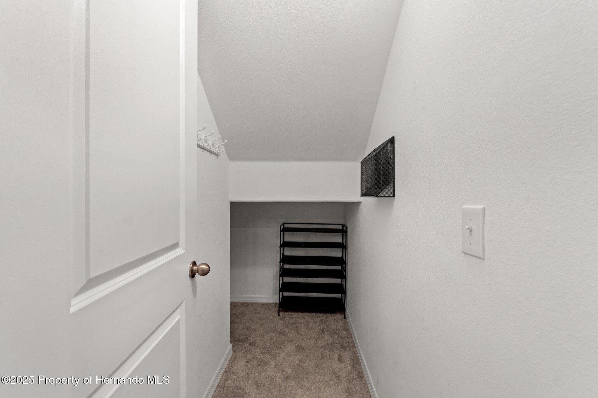 194 Argyll Drive, Spring Hill, Florida image 23