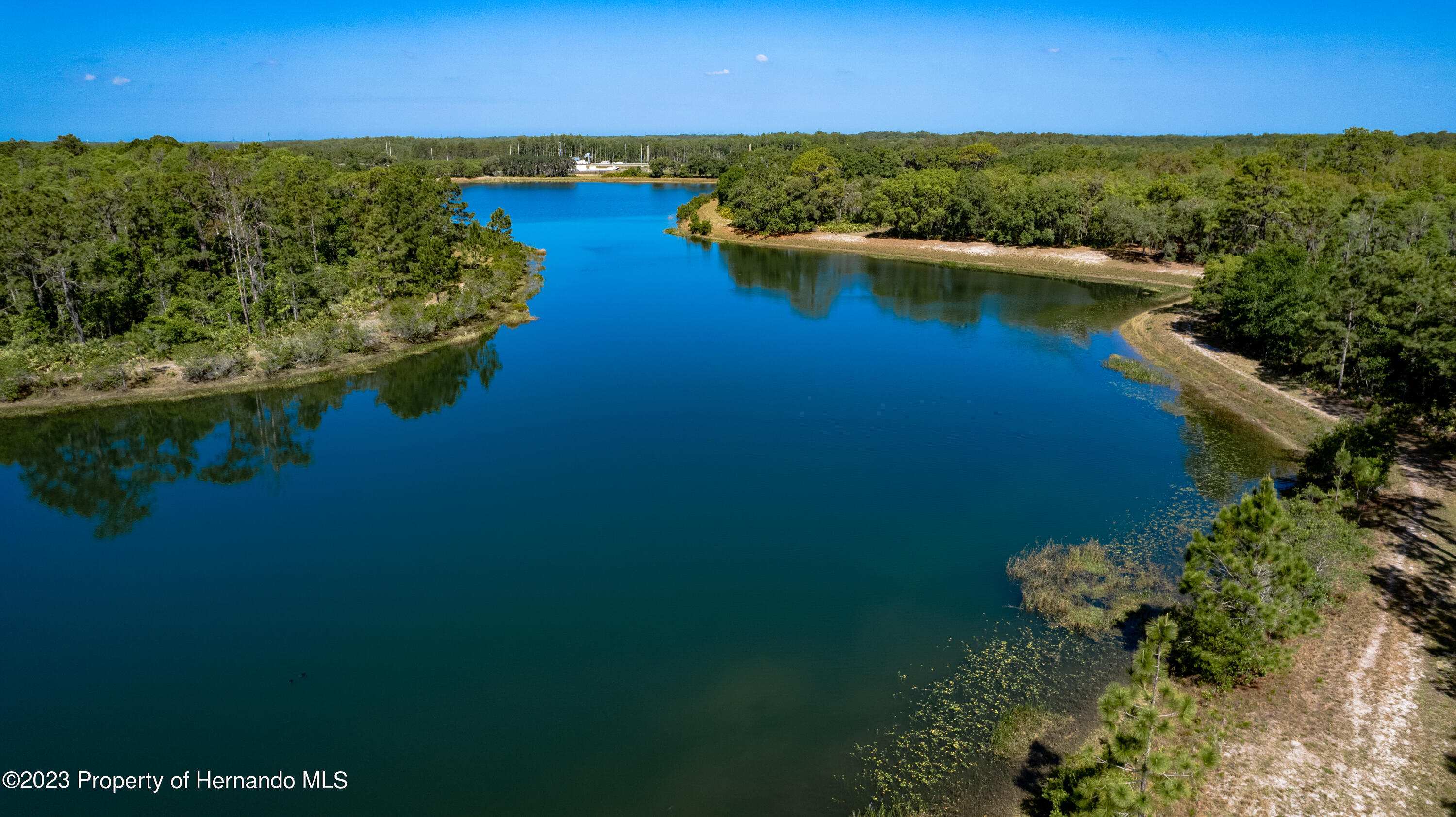 10843 Ibis Brook Court, LAND O LAKES, Florida image 20