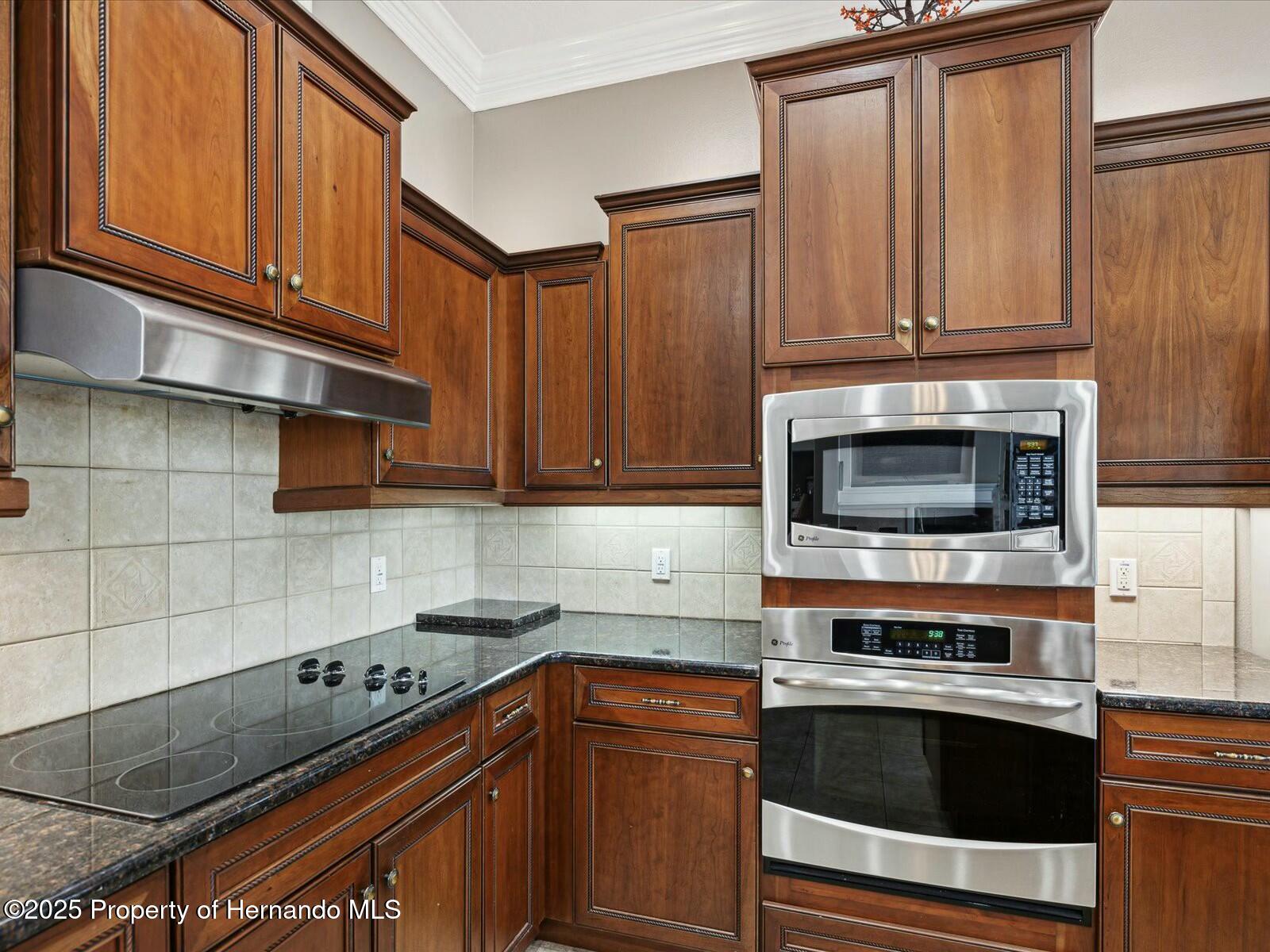 4423 Gevalia Drive, Brooksville, Florida image 20