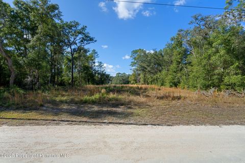 Vacant Land For Sale - Alloy Street<br/> Webster, FL 33597