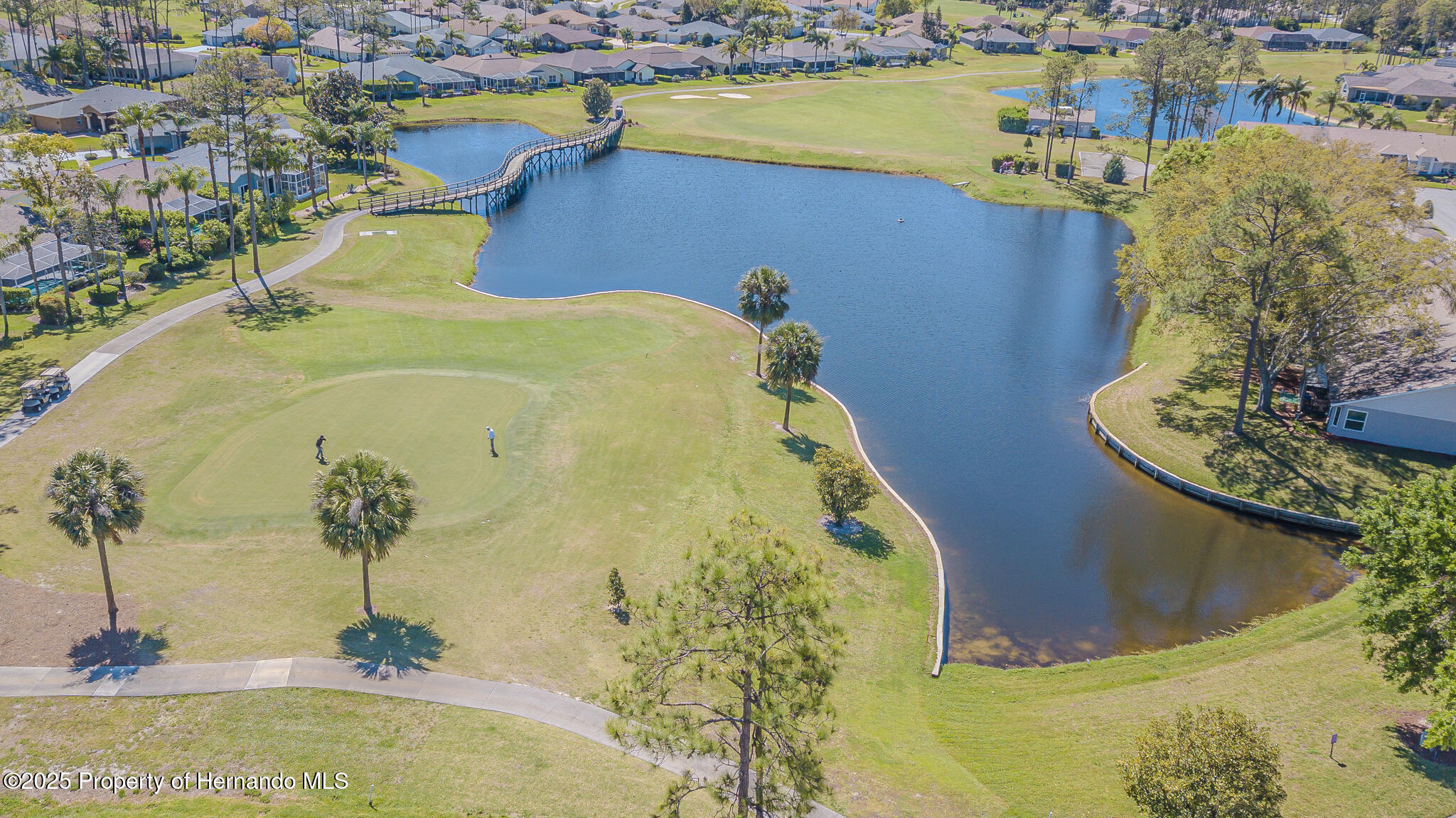 18836 Summersong Drive, Hudson, Florida image 7