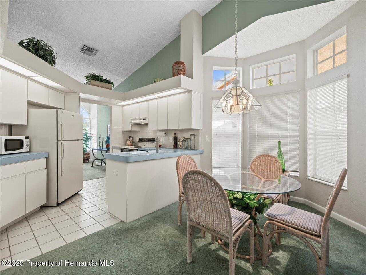9355 French Quarters Circle, Weeki Wachee, Florida image 21