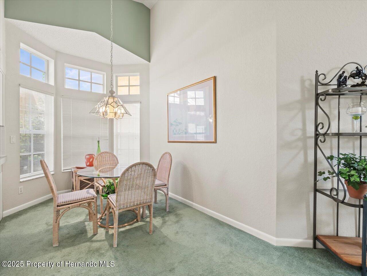 9355 French Quarters Circle, Weeki Wachee, Florida image 20