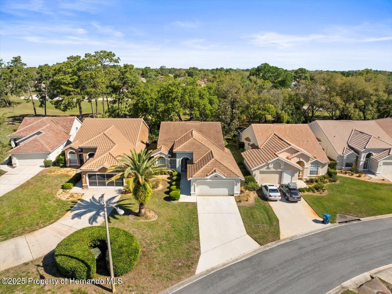 9355 French Quarters Circle, Weeki Wachee, Florida image 4