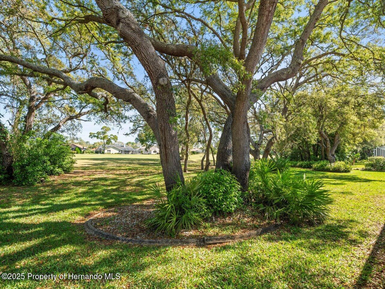 9355 French Quarters Circle, Weeki Wachee, Florida image 48