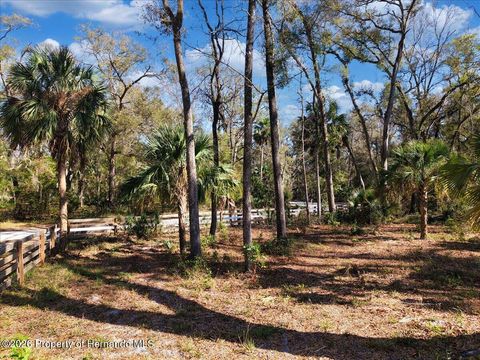 Vacant Land For Sale - 164 NE 293rd Avenue<br/> Old Town, FL 32680