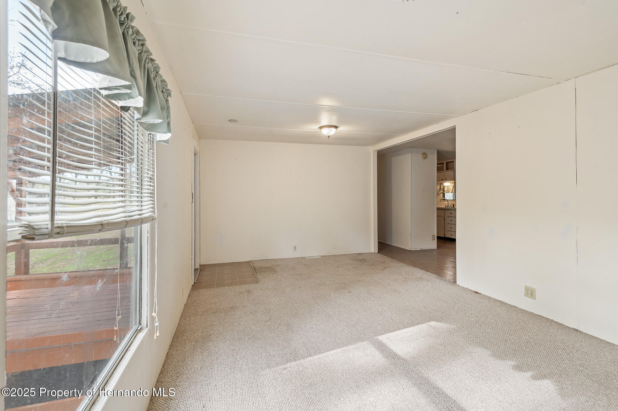 16115 Peach Orchard Road, Brooksville, Florida image 9