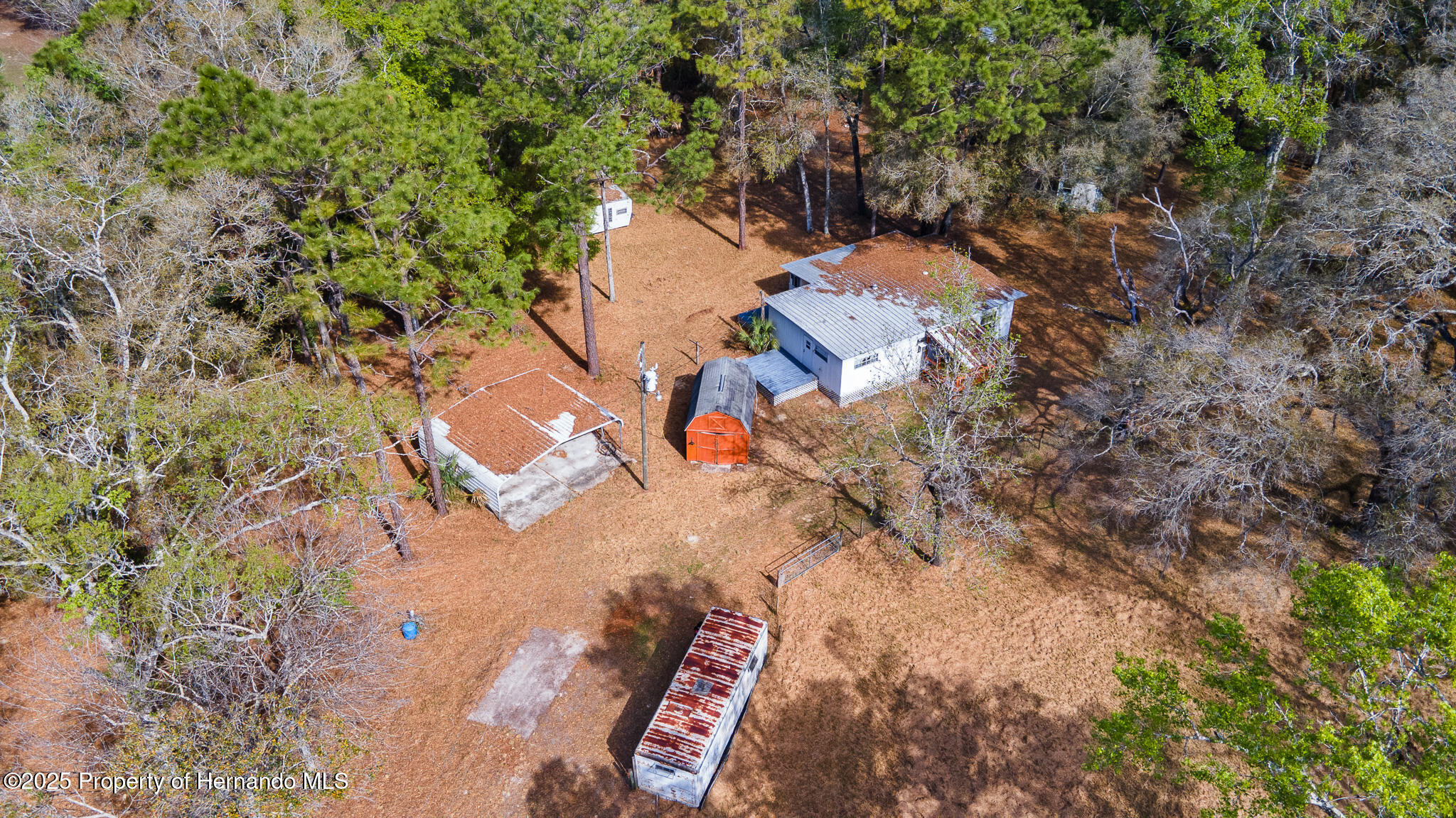 16115 Peach Orchard Road, Brooksville, Florida image 2