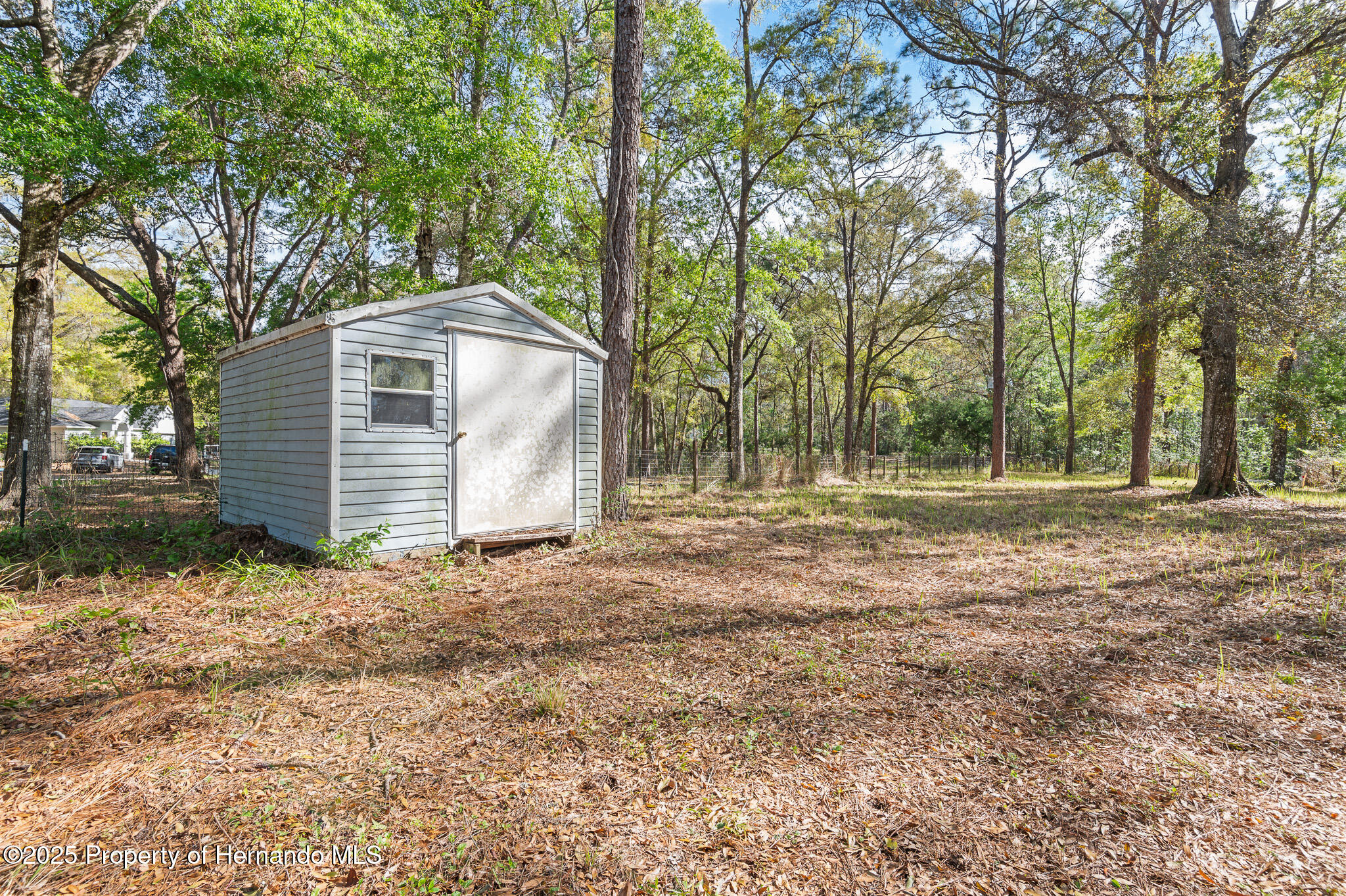 16115 Peach Orchard Road, Brooksville, Florida image 5