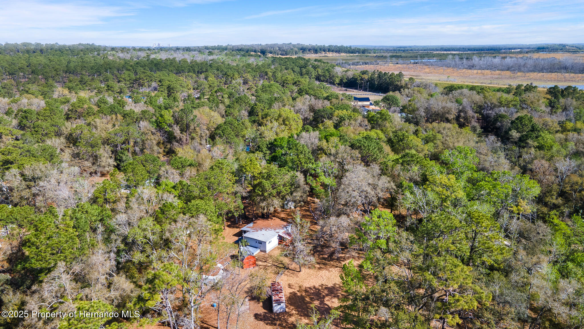 16115 Peach Orchard Road, Brooksville, Florida image 3