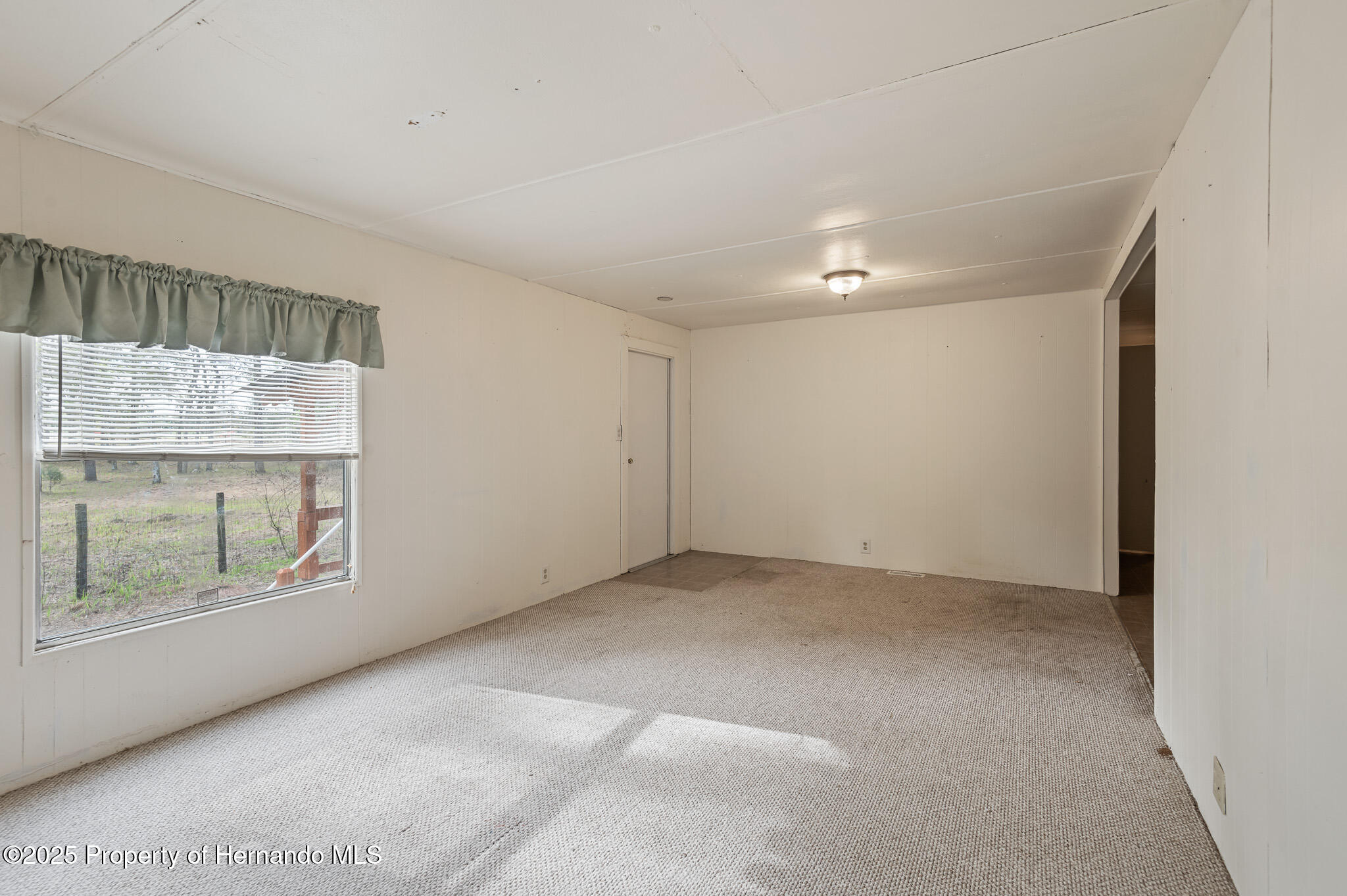16115 Peach Orchard Road, Brooksville, Florida image 10
