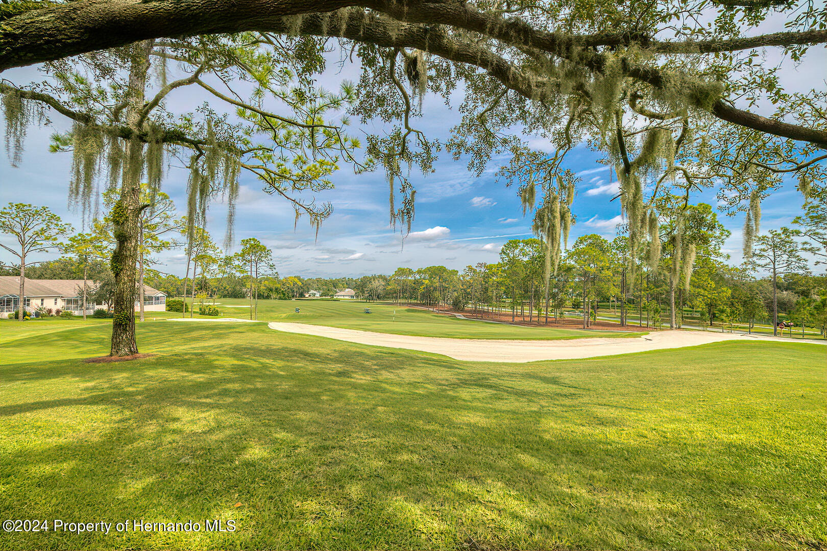 6460 Pine Meadows Drive, Spring Hill, Florida image 29
