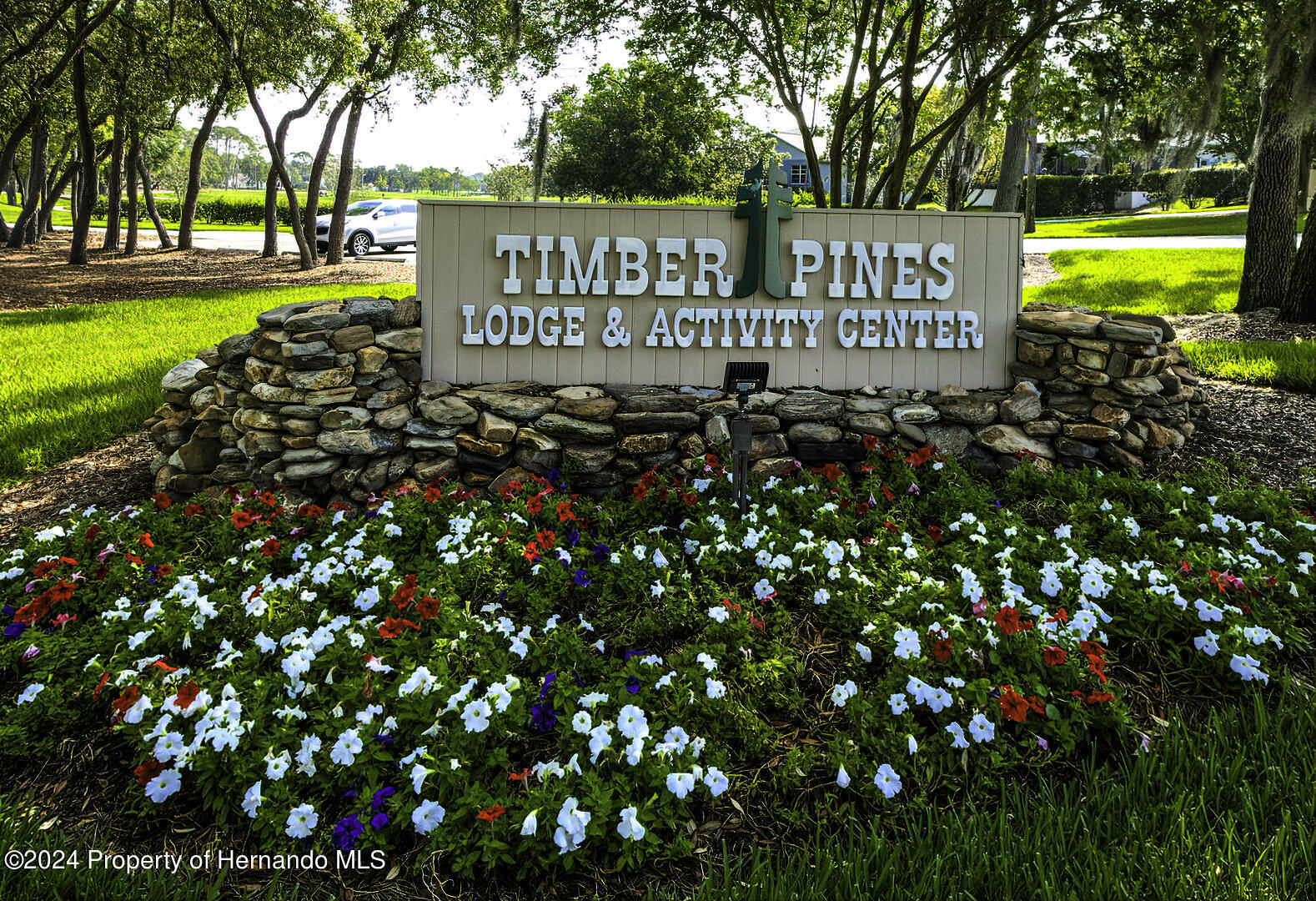 6460 Pine Meadows Drive, Spring Hill, Florida image 36