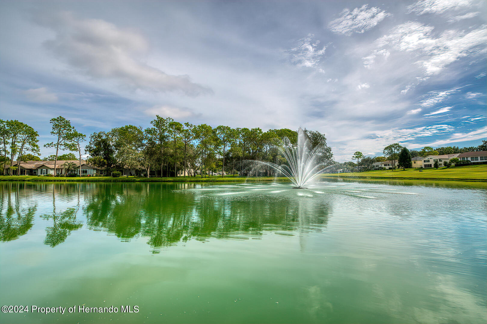 6460 Pine Meadows Drive, Spring Hill, Florida image 26