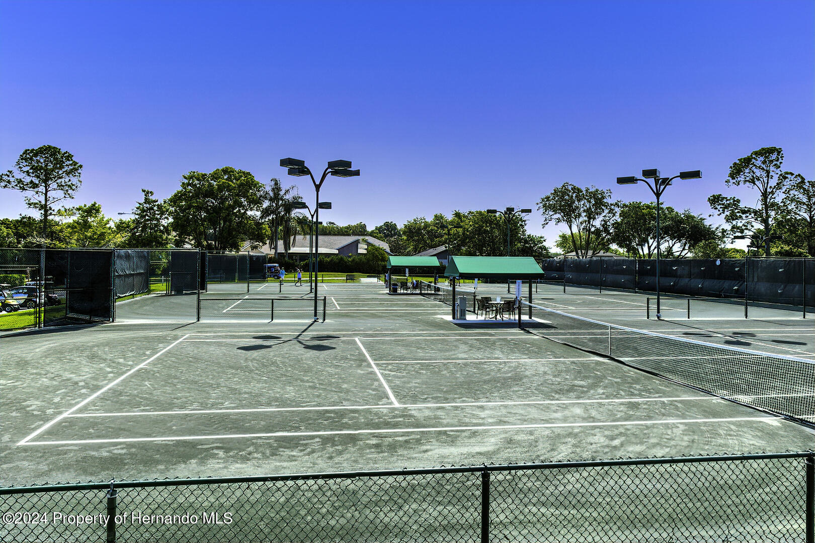 6460 Pine Meadows Drive, Spring Hill, Florida image 35