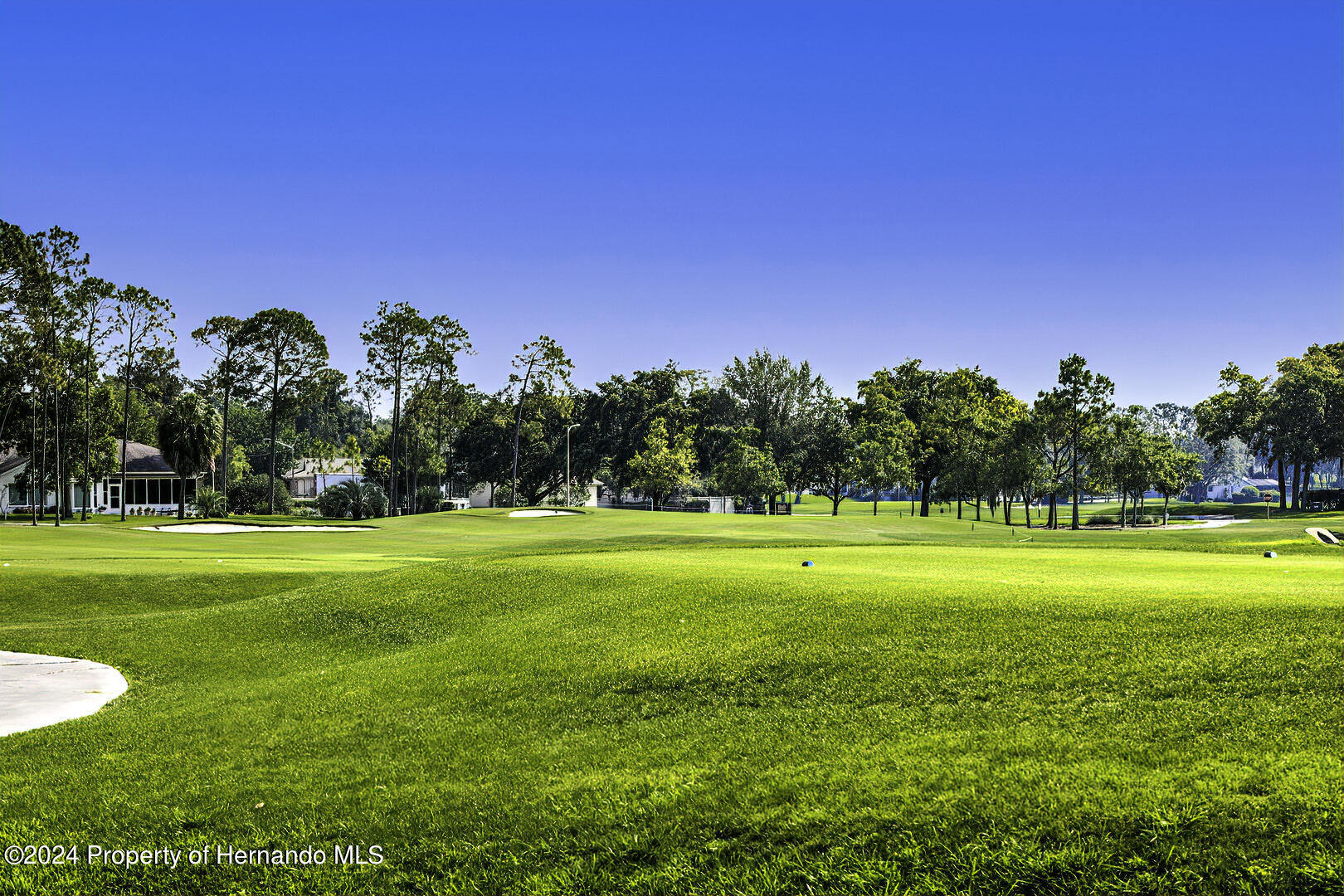 6460 Pine Meadows Drive, Spring Hill, Florida image 37