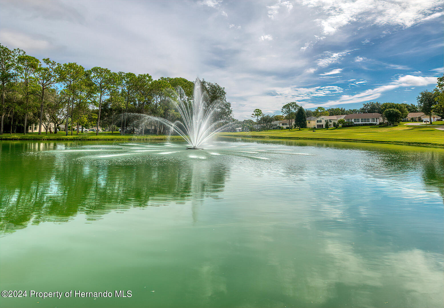 6460 Pine Meadows Drive, Spring Hill, Florida image 49