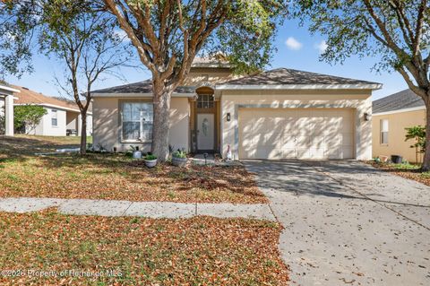 Homes For Sale - 8483 Pinetop Ridge Lane<br/> Brooksville, FL 34613