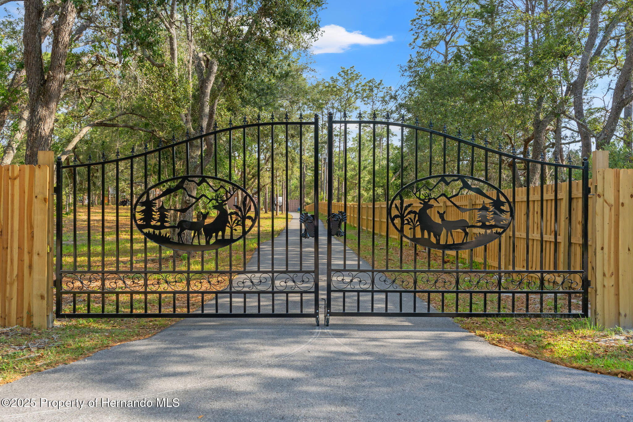 9078 Birmingham Avenue, Weeki Wachee, Florida image 6