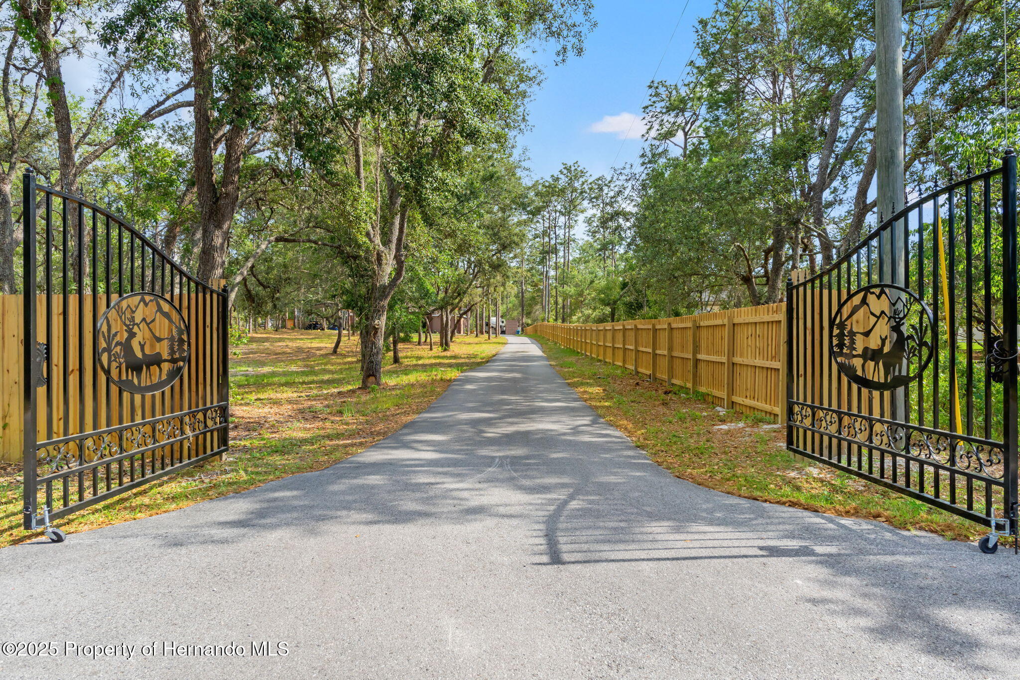 9078 Birmingham Avenue, Weeki Wachee, Florida image 7
