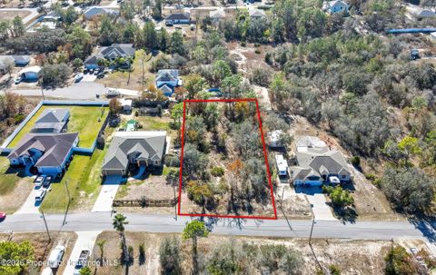 Vacant Land For Sale - Meinert Avenue<br/> Brooksville, FL 34613