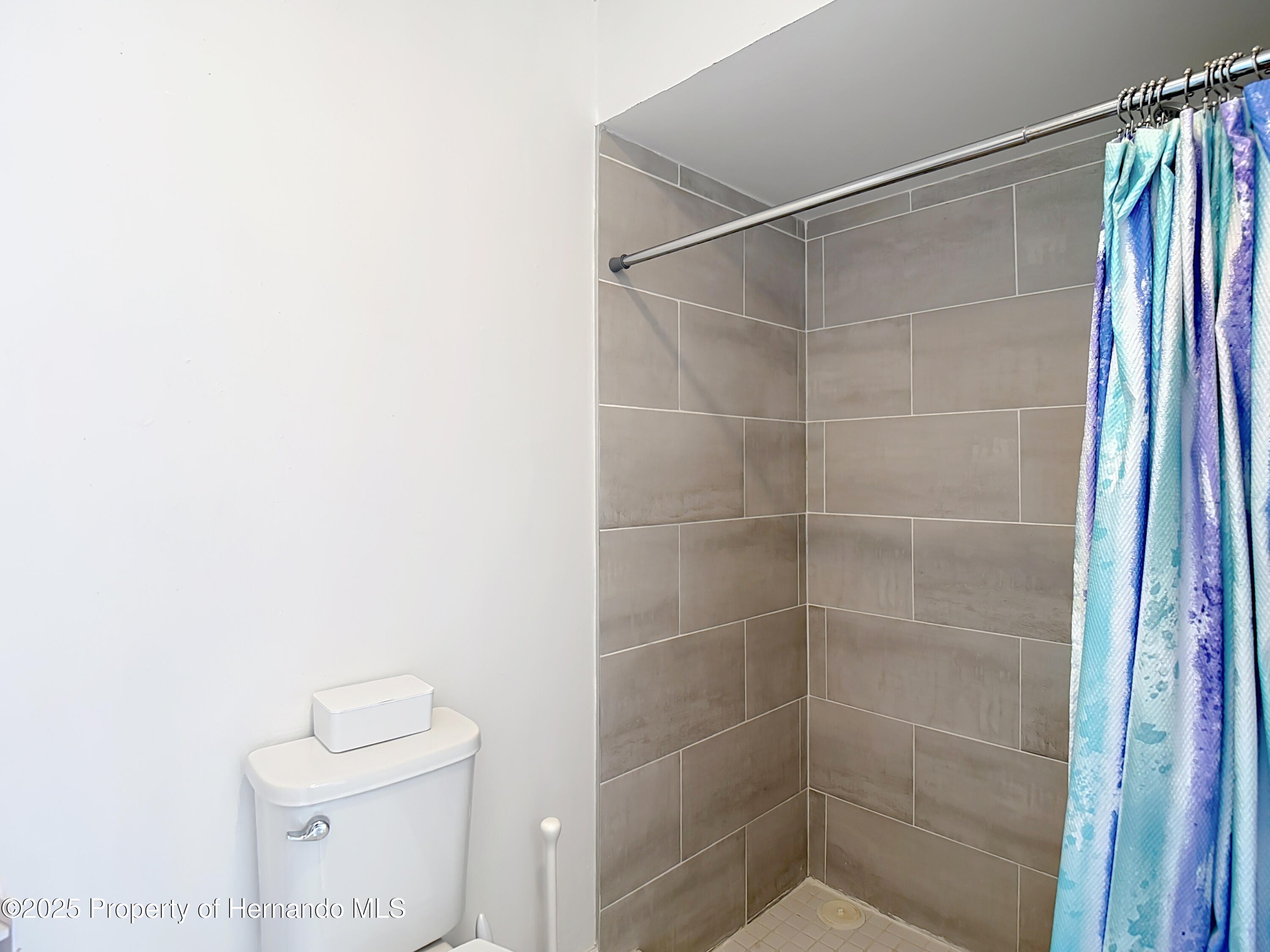 12087 Tallwood Street, Spring Hill, Florida image 48