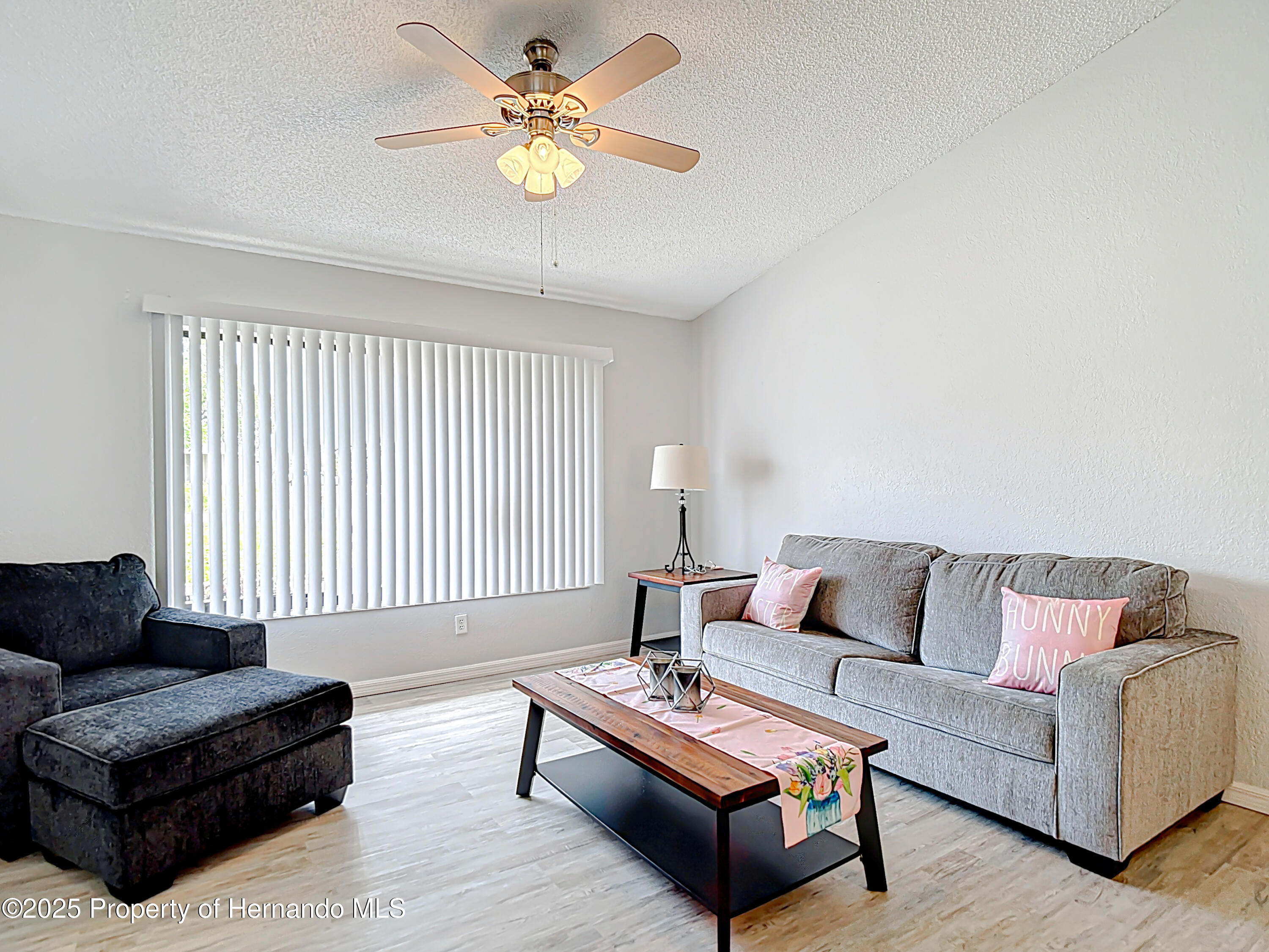 12087 Tallwood Street, Spring Hill, Florida image 10