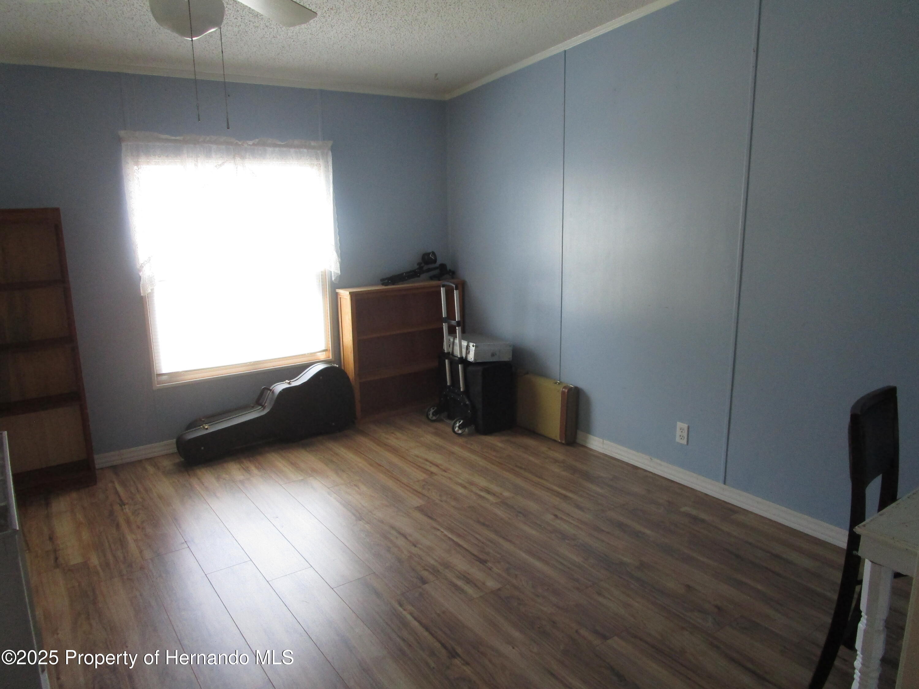 8029 Montrose Avenue, Brooksville, Florida image 14