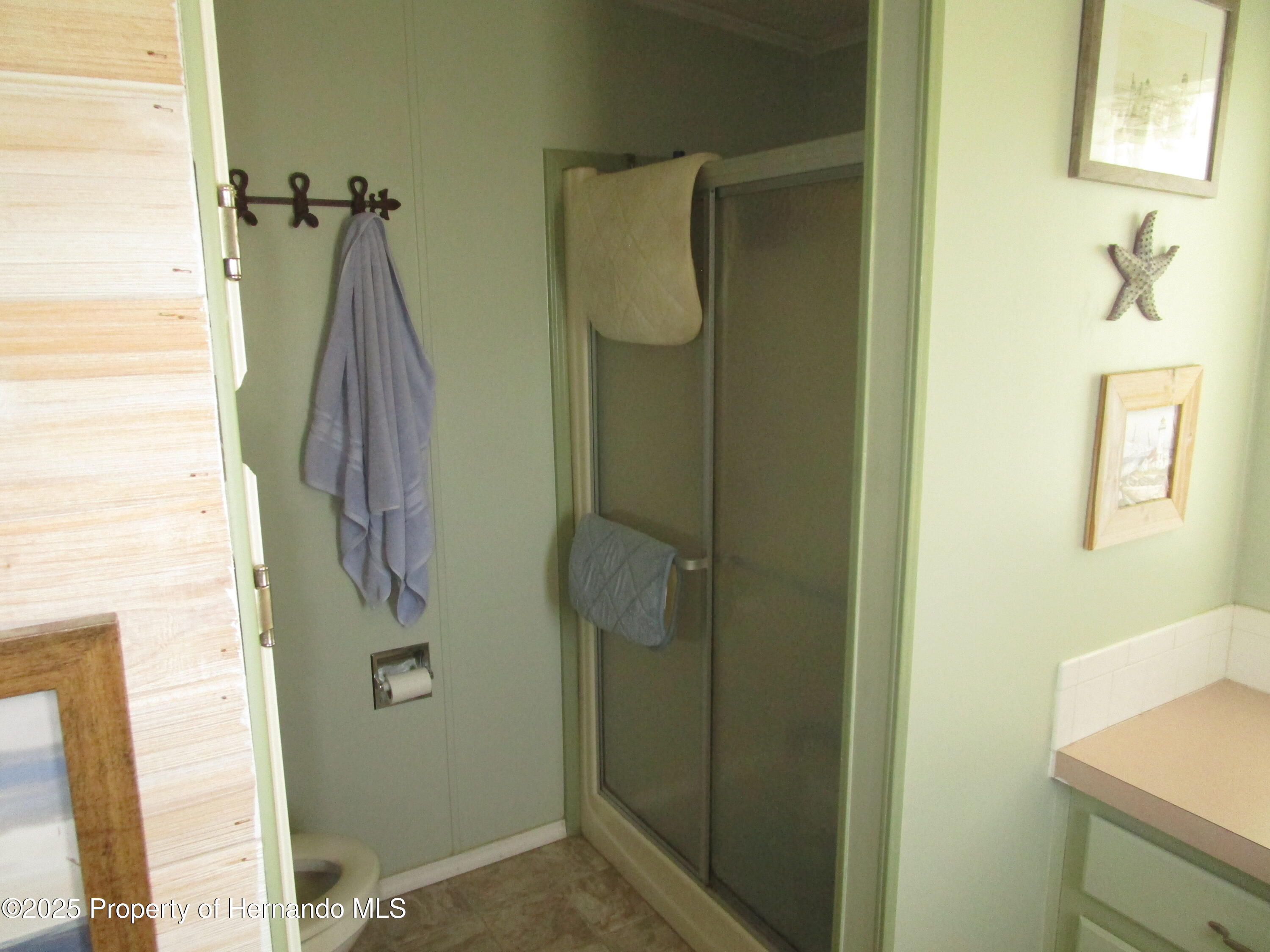 8029 Montrose Avenue, Brooksville, Florida image 21