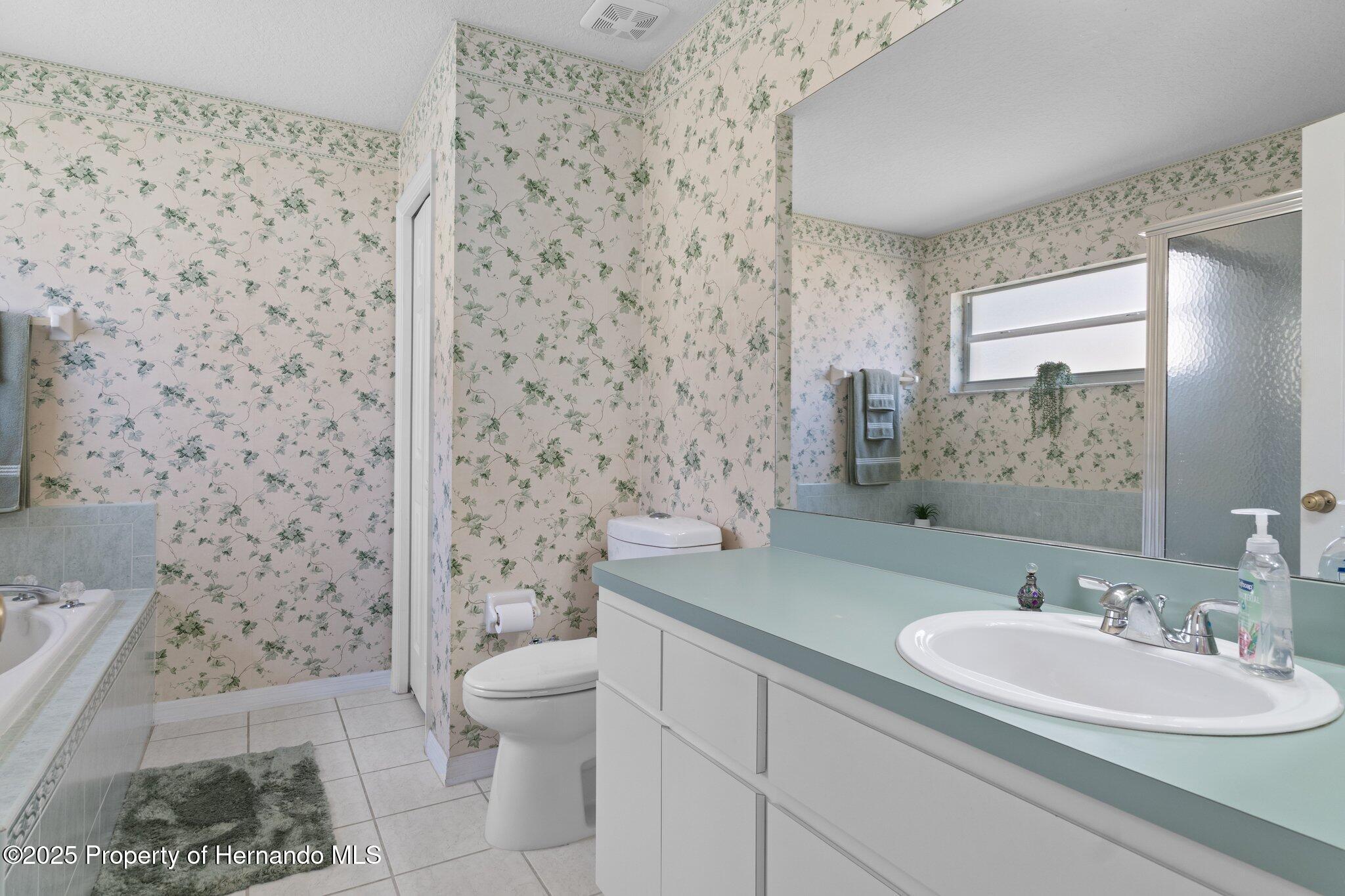 3345 Carmen Avenue, Spring Hill, Florida image 25
