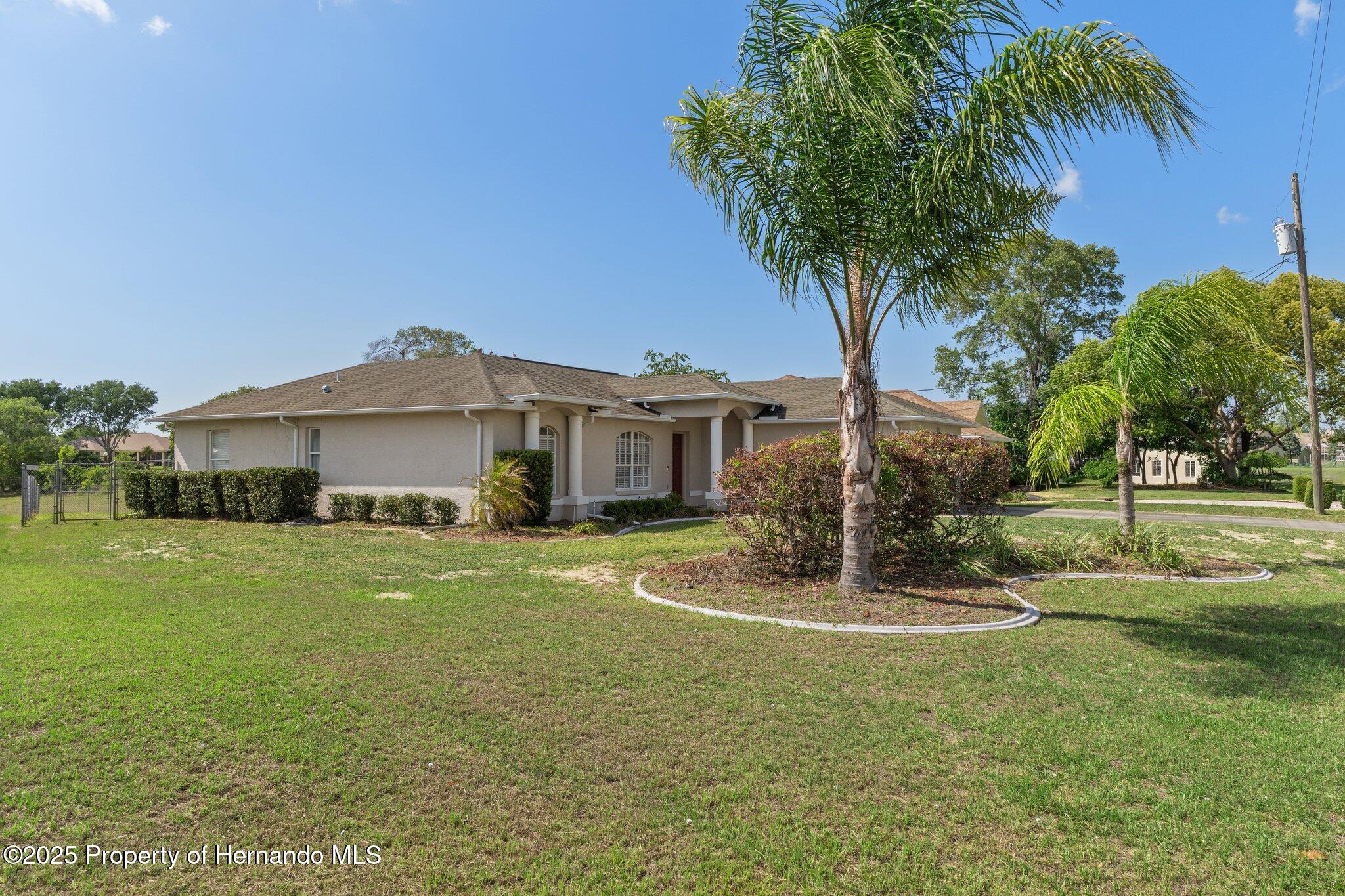 3345 Carmen Avenue, Spring Hill, Florida image 5