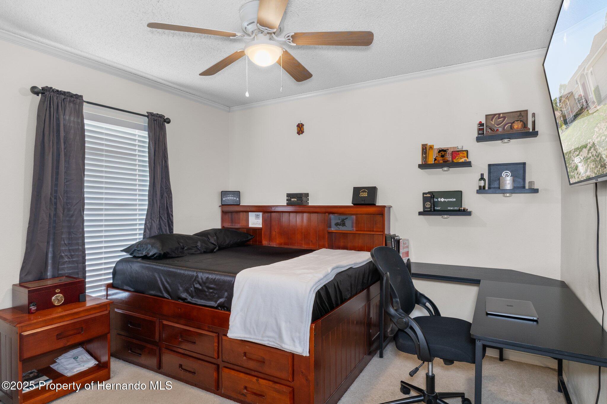 3345 Carmen Avenue, Spring Hill, Florida image 29