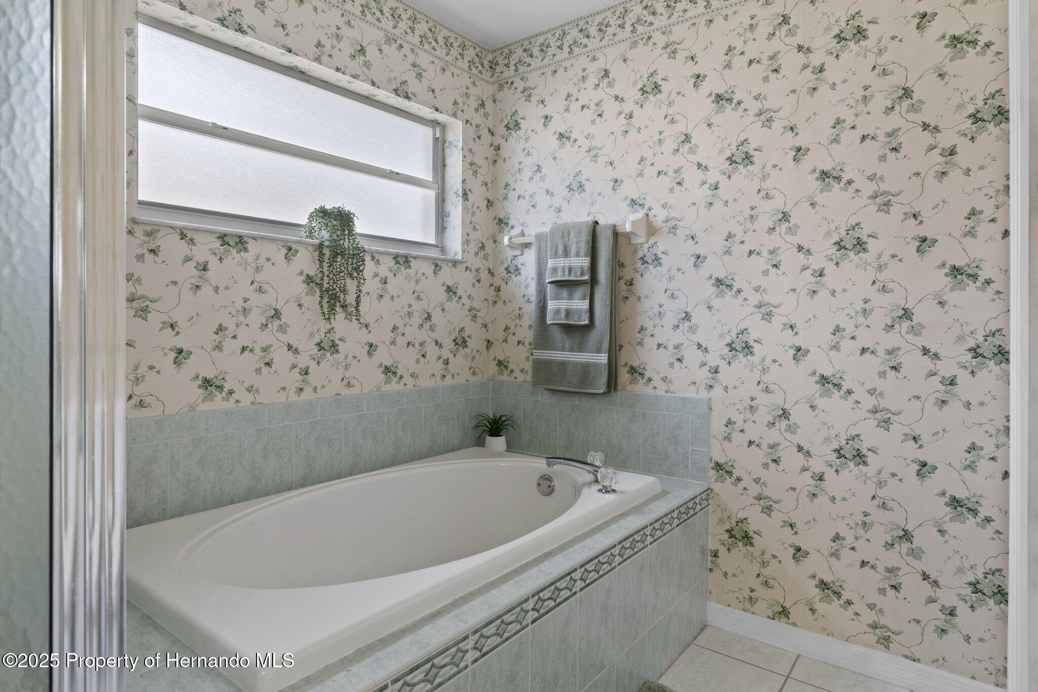 3345 Carmen Avenue, Spring Hill, Florida image 27