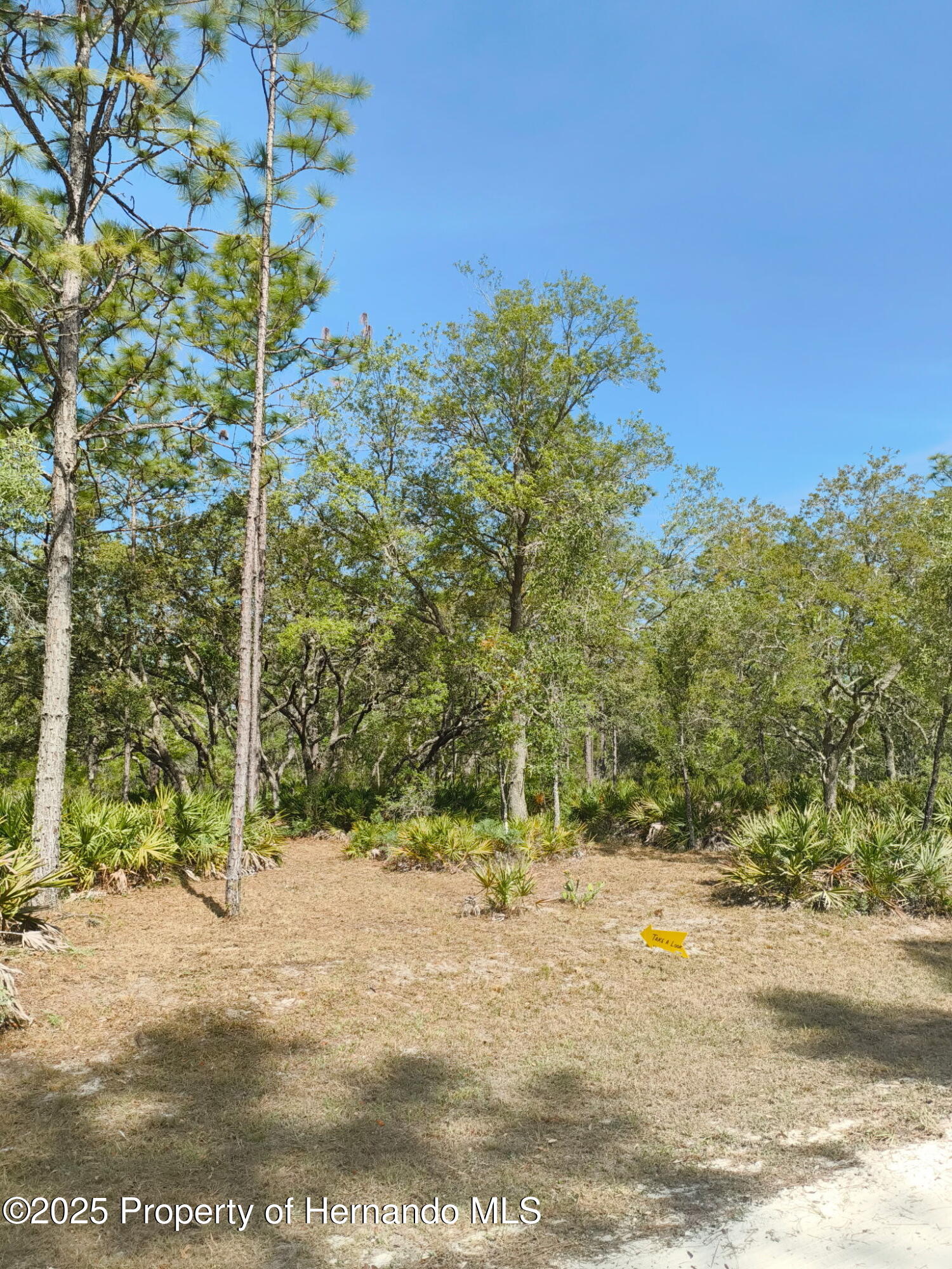 18235 Parakeet Road, Weeki Wachee, Florida image 2