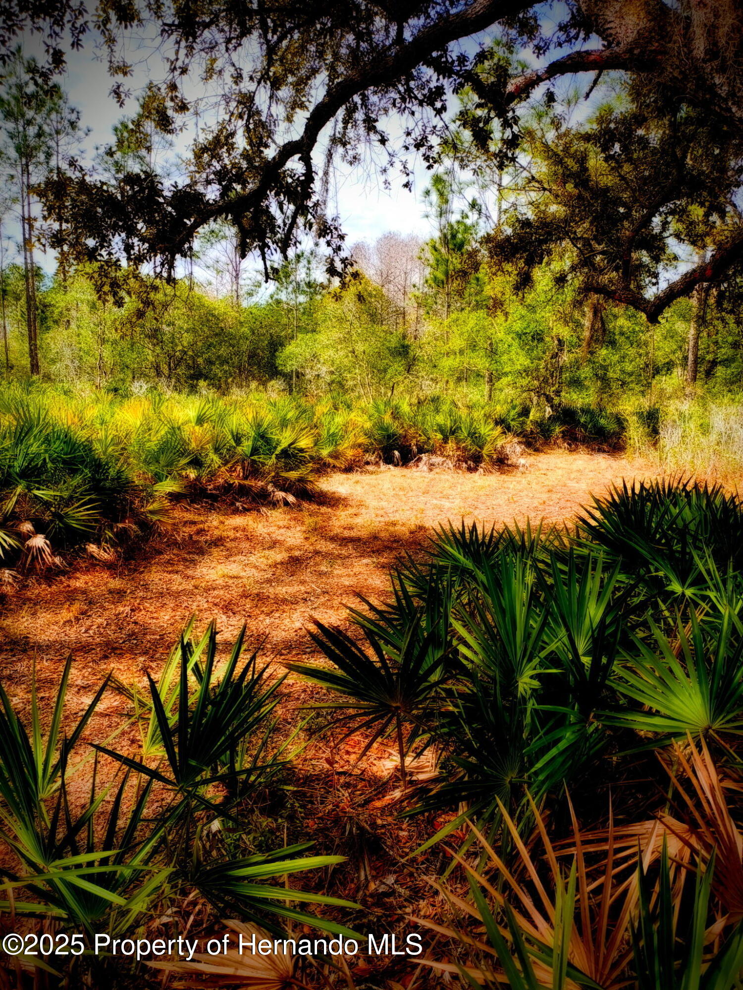 18235 Parakeet Road, Weeki Wachee, Florida image 2
