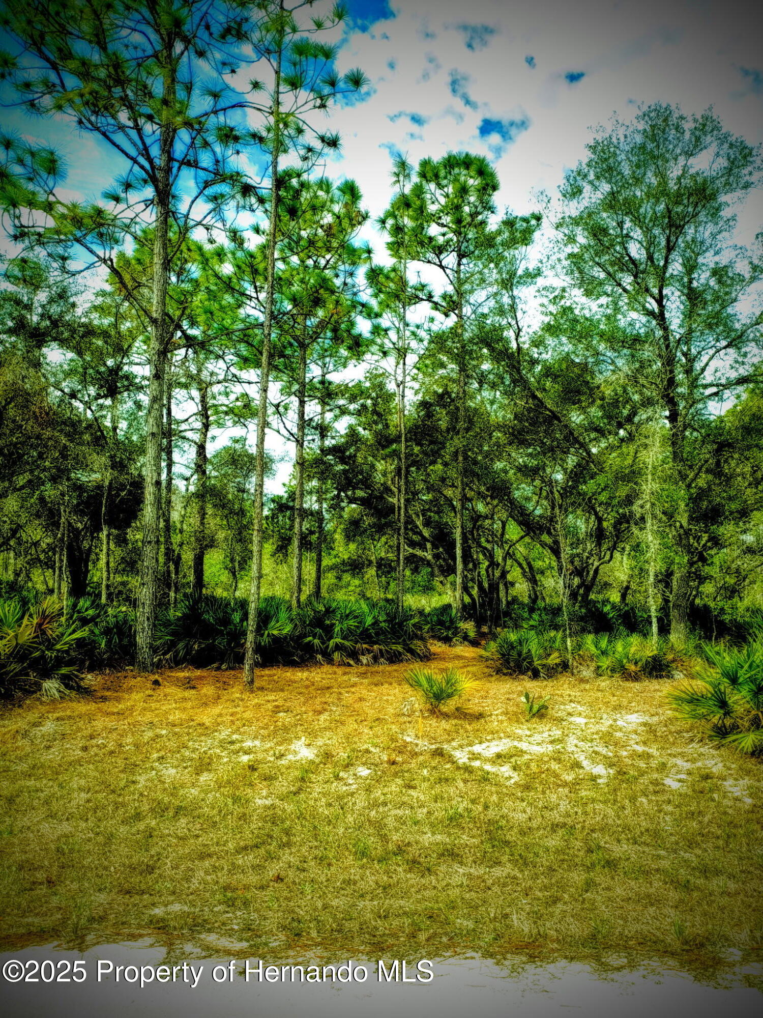 18235 Parakeet Road, Weeki Wachee, Florida image 1