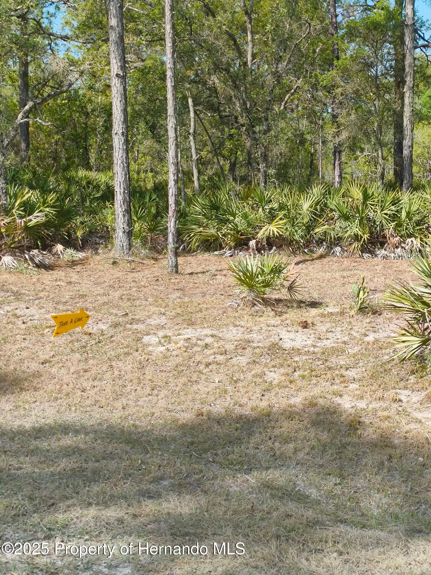 18235 Parakeet Road, Weeki Wachee, Florida image 1