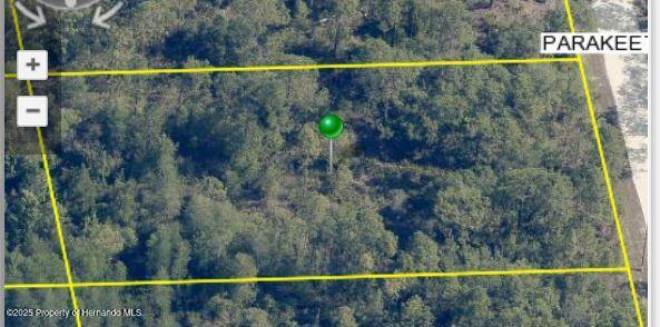 18235 Parakeet Road, Weeki Wachee, Florida image 6