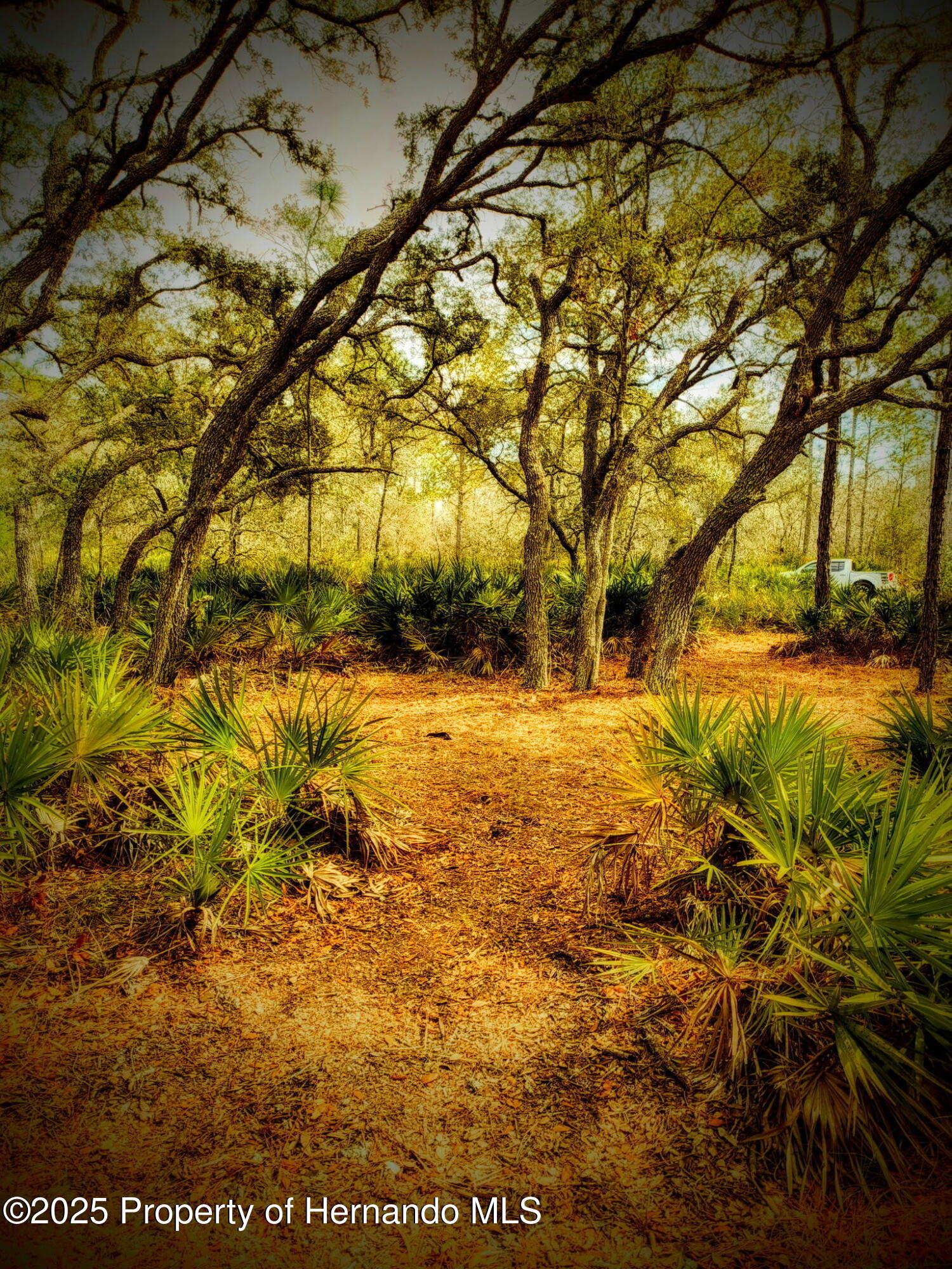18235 Parakeet Road, Weeki Wachee, Florida image 5